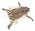 Vintage Zebra Hide Rug, 1950s For Sale