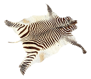 Vintage Zebra Hide Rug, 1950s