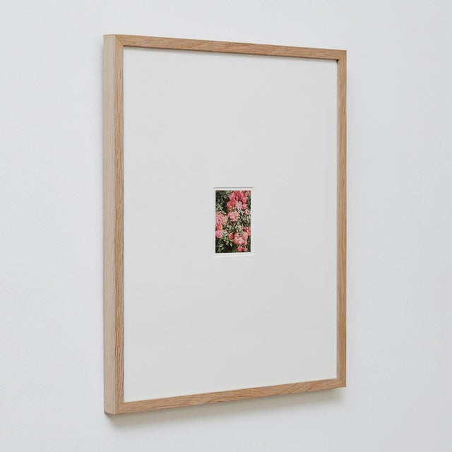 Not Yet Made - Made To Order The Rose Garden Nº 47 Print by David Urbano, 2018 For Sale - Image 5 of 9