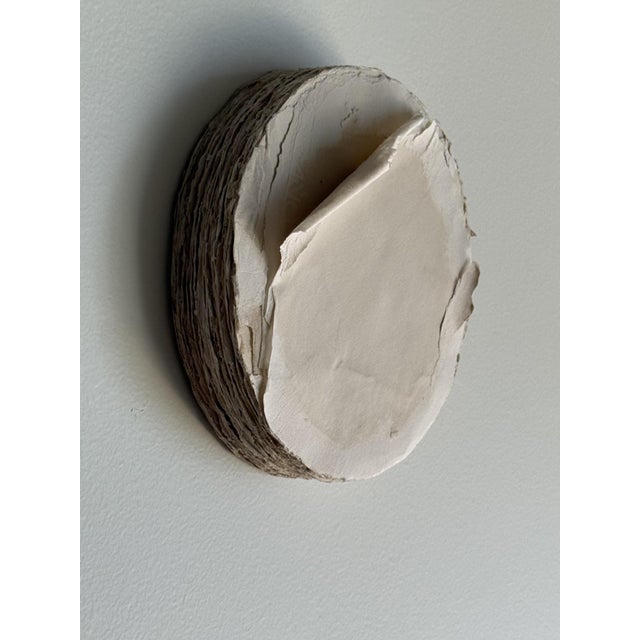 Contemporary Silvia De Marchi, Tondo Tinto — Sculptural Paper Relief, Contemporary Wall Art For Sale - Image 3 of 6