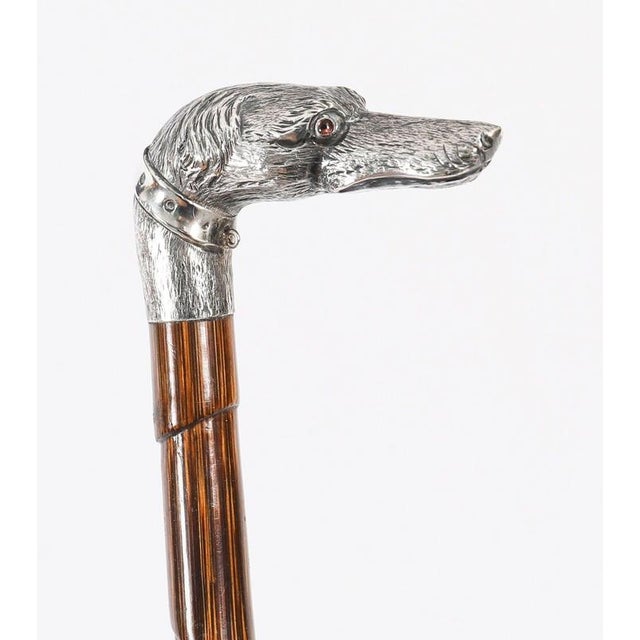 Antique Greyhound Head Sliver Handled Walking Stick Cane, 1890s For Sale - Image 10 of 12