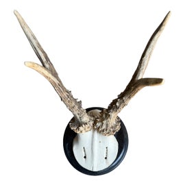 Example of Sculptural Wall Objects