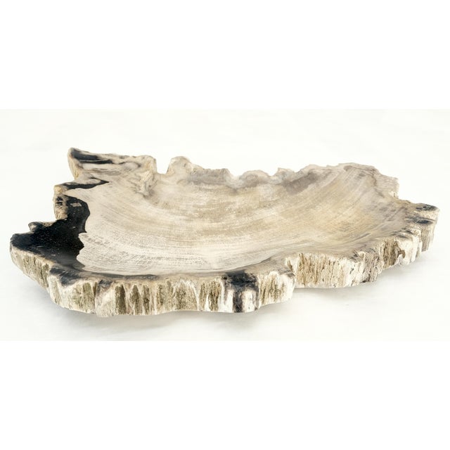 Petrified Wood Antarctica Shape Solid Black & Tanl Bowl Dish Large Plate Ashtray For Sale - Image 10 of 13