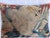 17th Century Flemish Large Floral Tapestry Pillow For Sale In Los Angeles - Image 6 of 7