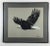 1990 Framed Bald Eagle Charcoal Original Work of Art For Sale - Image 10 of 10