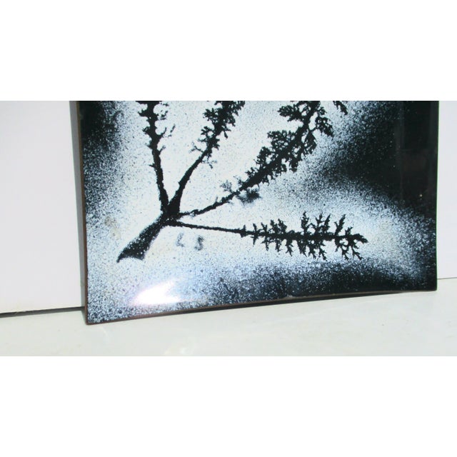 Hand-made enamel on a copper tray. Signed L S to the lower left. Black silhouette of a fine-leafed fern in a style that...