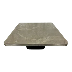 Etched Heinz Lilienthal Coffee Table