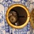 Antique Delft Vase Clock, Blue White Chinoiserie Vase Kangxi Style, Foo Dog Finial For Sale - Image 12 of 14