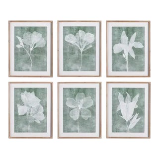 Translucent Floral Prints - Set of 6 from Kenneth Ludwig Chicago For Sale