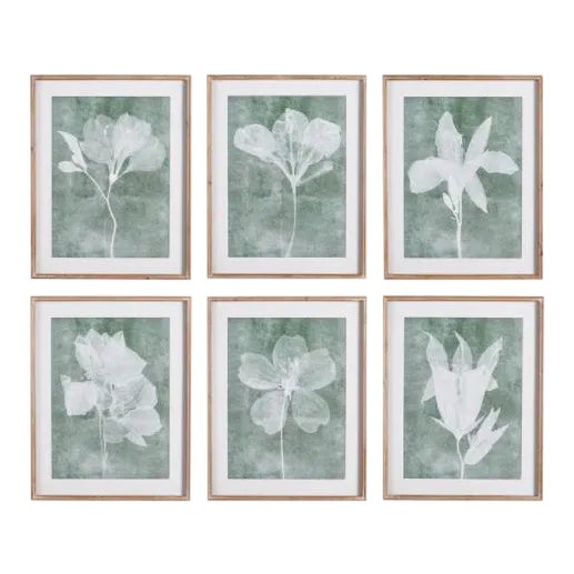 Translucent Floral Prints - Set of 6 from Kenneth Ludwig Chicago For Sale
