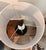 Black 1990s Organic Modern Seeded Glass and Matte Black Table Lamps With Linen Drum Shades Included - Pair For Sale - Image 8 of 8
