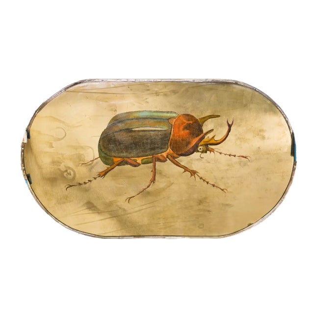 Green Orange Beetle For Sale