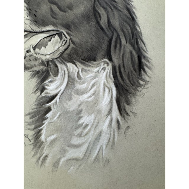 Illustration 1940s Original Signed Graphite Illustration of English Springer Spaniel, 11 × 8.5 In. For Sale - Image 3 of 6