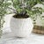 Early 21st Century Vista Pot For Sale - Image 5 of 6
