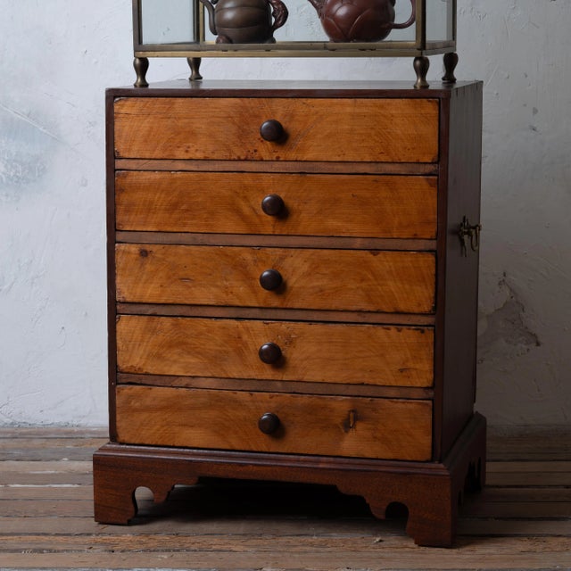 19th Century Collectors Chest, 19th Century For Sale - Image 5 of 13