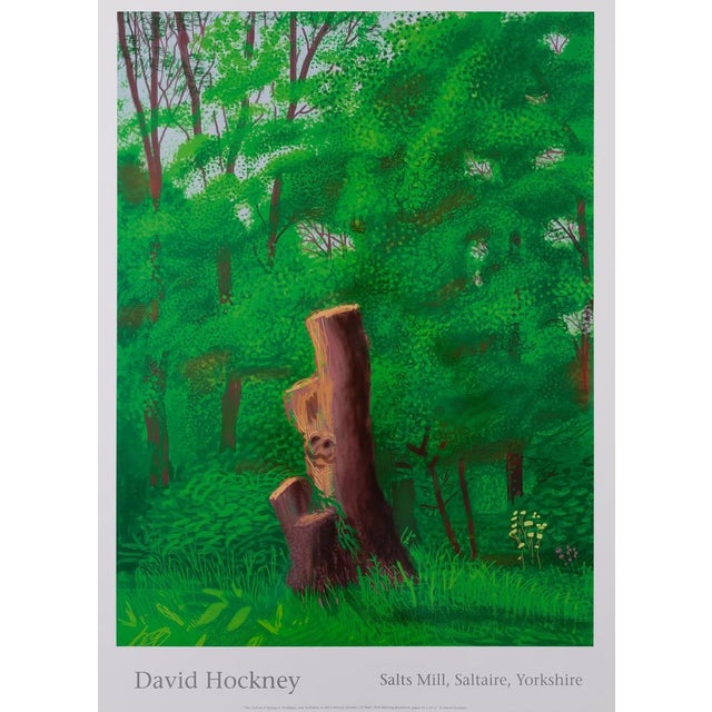 At the Entrance to the Undergrowth Poster after David Hockney For Sale - Image 6 of 6