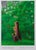 At the Entrance to the Undergrowth Poster after David Hockney For Sale - Image 6 of 6