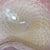 Large Mid-20th Century Modern Alfredo Barbini Murano Pink & Gold Bullicante Art Glass Bowl For Sale In Chicago - Image 6 of 9