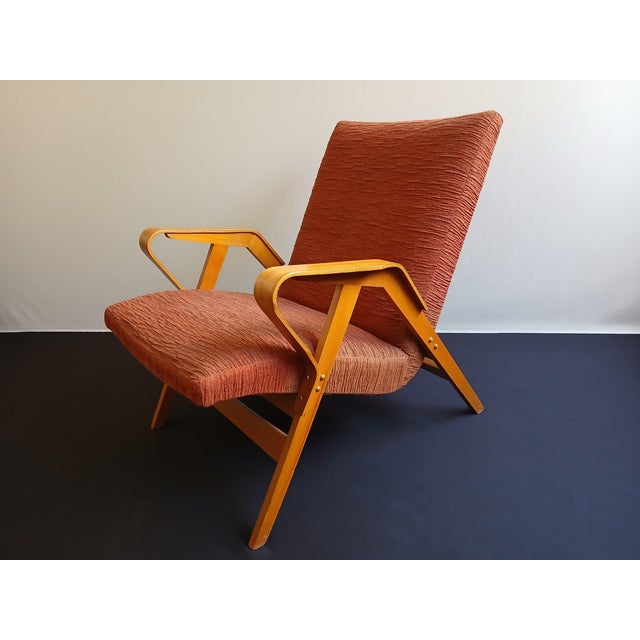 1950s Beech Lounge Chair by Frantisek Jiràk for Tatra Nabytok, Former Czechoslovakia, 1950s For Sale - Image 5 of 17