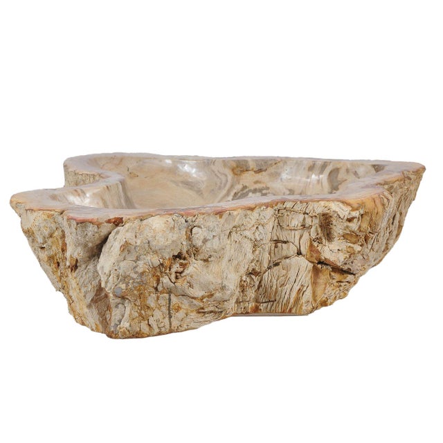 Early 21st Century Petrified Wood Wash Hand Basin by Xyleia Petrified Wood For Sale - Image 5 of 6