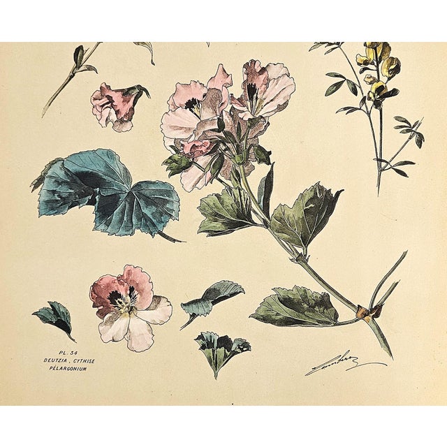 Art Nouveau 1880s Large Rare French Antique Hand-Colored Botancial Chromolithogrpah by Henri Lambert--Deutzia, Geranium For Sale - Image 3 of 3