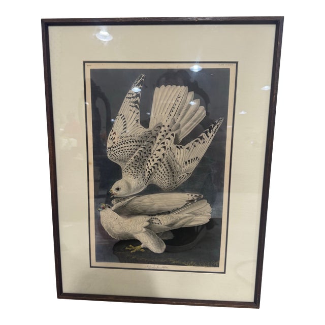 Late 19th Century John James Audubon Robert Havell Iceland or Ier Falcon 1836 Framed Print Reproduction For Sale