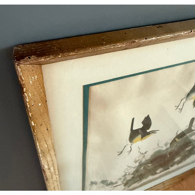 Pair of Vintage Framed Bird Illustration Lithographs by John James Audubon For Sale - Image 16 of 17