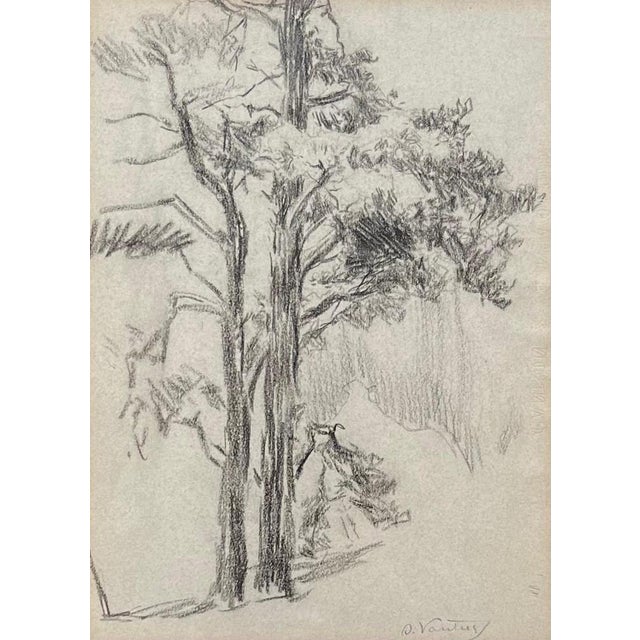 Otto Vautier, Tree, Graphite on Paper For Sale - Image 12 of 12
