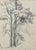 Otto Vautier, Tree, Graphite on Paper For Sale - Image 12 of 12