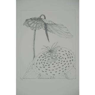 Gochka Charewicz, L'arum, Lithograph For Sale