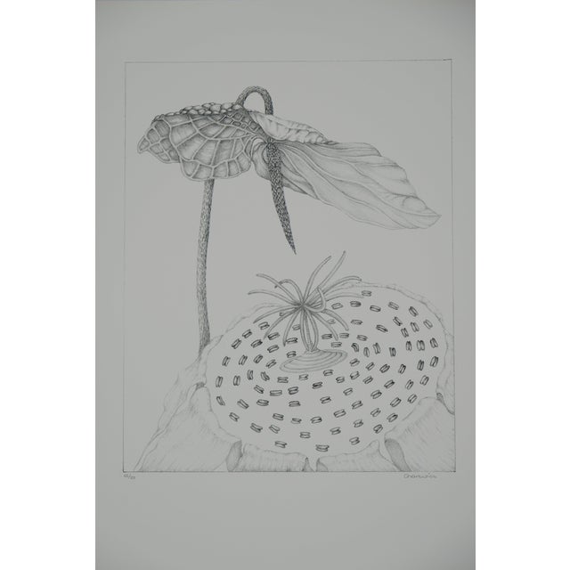 Gochka Charewicz, L'arum, Lithograph For Sale