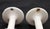 Traditional Pair of Vintage White Bathroom Towel Brackets For Sale - Image 3 of 6
