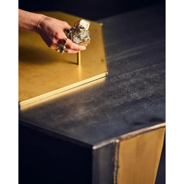 Gray Pyrite Coffee Table by Brajak Vitberg For Sale - Image 8 of 12