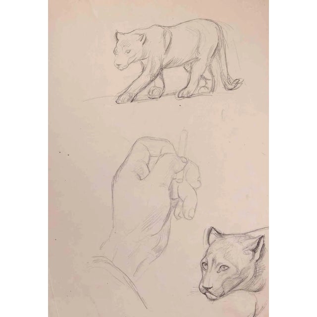 Felines is an original drawing in Pencil attribute to Norbert Meyre, on creamy-colored paper and realized in the early...
