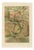 P.J. Smit, Wall Lizards, 1895, Color Lithograph For Sale