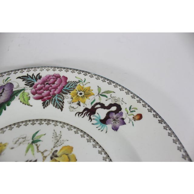 Late 19th Century 1880’s Antique Wedgwood Bullfinch Brown Dinner Plate With Blue Edge 10.25” Plate For Sale - Image 5 of 7