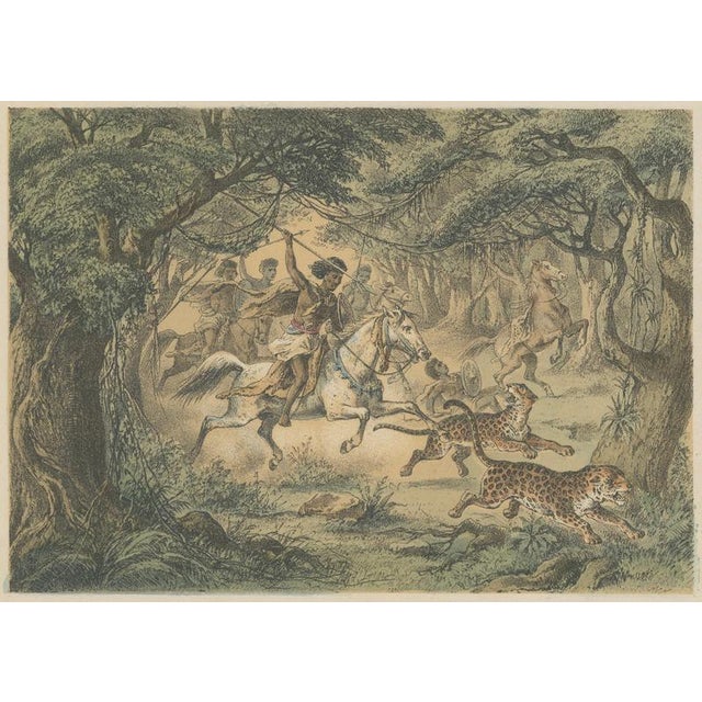German School, Leopard Hunt in the Jungle Wildlife Adventure Lithograph, 1883, Lithograph For Sale - Image 4 of 9