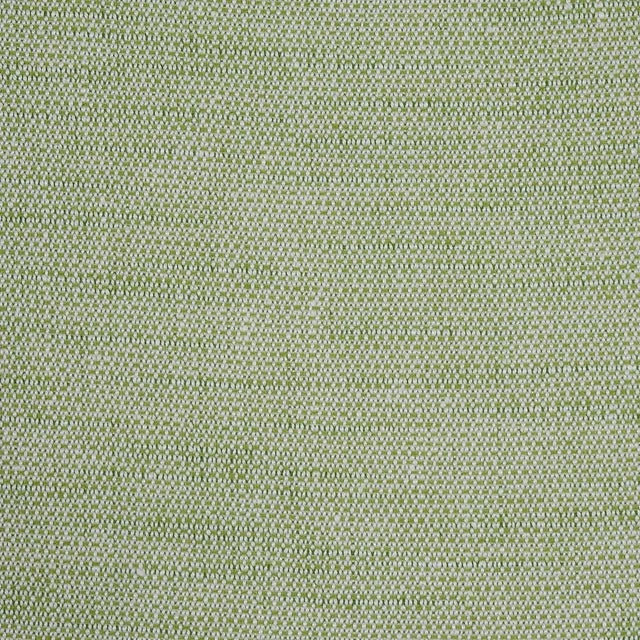 Schumacher Schumacher Camarillo Weave Indoor/Outdoor Fabric in Leaf For Sale - Image 4 of 4