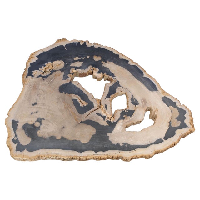 Not Yet Made - Made To Order Petrified Wood Coffee Table by Xyleia Petrified Wood For Sale - Image 5 of 5