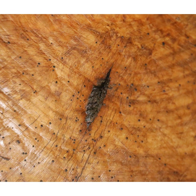 Wood 19th Century French Elm Dough Bowl With Hand-Carved Handle For Sale - Image 7 of 8