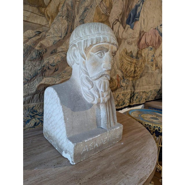 French School Artist, Bust of Aesculapius, 19th Century, Stone For Sale - Image 9 of 13