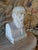 French School Artist, Bust of Aesculapius, 19th Century, Stone For Sale - Image 9 of 13