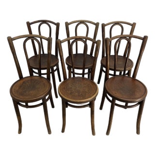 Early 20th Century Antique Vintage Thonet Style Stamped Peacock Seat Design Bentwood Chairs - Set of 6 For Sale