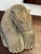 Bone 1970s Inuit Wilson Oozeva Carving of Polar Bear For Sale - Image 7 of 11