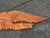 Artisan Late 19th C. Wood Carved Federal-Style American Eagle, Shield, and Banner For Sale - Image 6 of 7