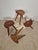 Wood Rustic Stools in the style of Jean Touret, 1950s, Set of 4 For Sale - Image 7 of 18