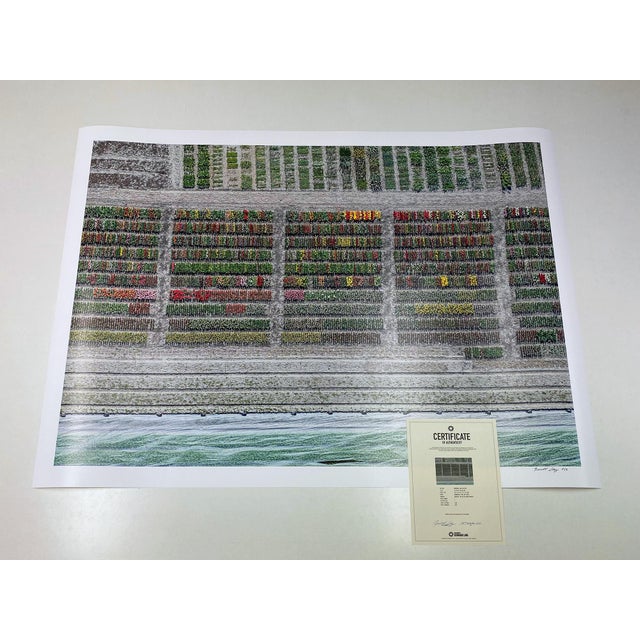 "AV_Tulip_Fileds_008" Contemporary Limited Edition Fine Art Photograph Print by Bernhard Lang For Sale - Image 4 of 7