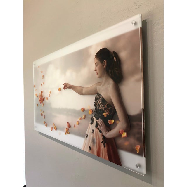 Peach Magnetism by Beth Sistrunk | Oil on two translucent acrylic panels Woman in a flowing dress with petals. For Sale - Image 8 of 10