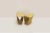 Gallery Stools by Hans Sandgren Jakobsen for Fredericia, 1998, Set of 2 For Sale - Image 3 of 6
