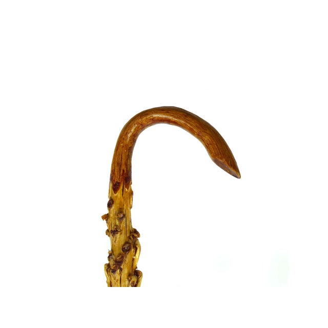 Mid 20th Century Mid 20th Century Handmade Organic Modern Natural Tropical Palm Wood Walking Cane For Sale - Image 5 of 10